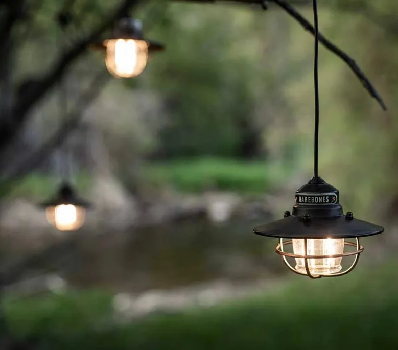 Edison String Lights | Bronze