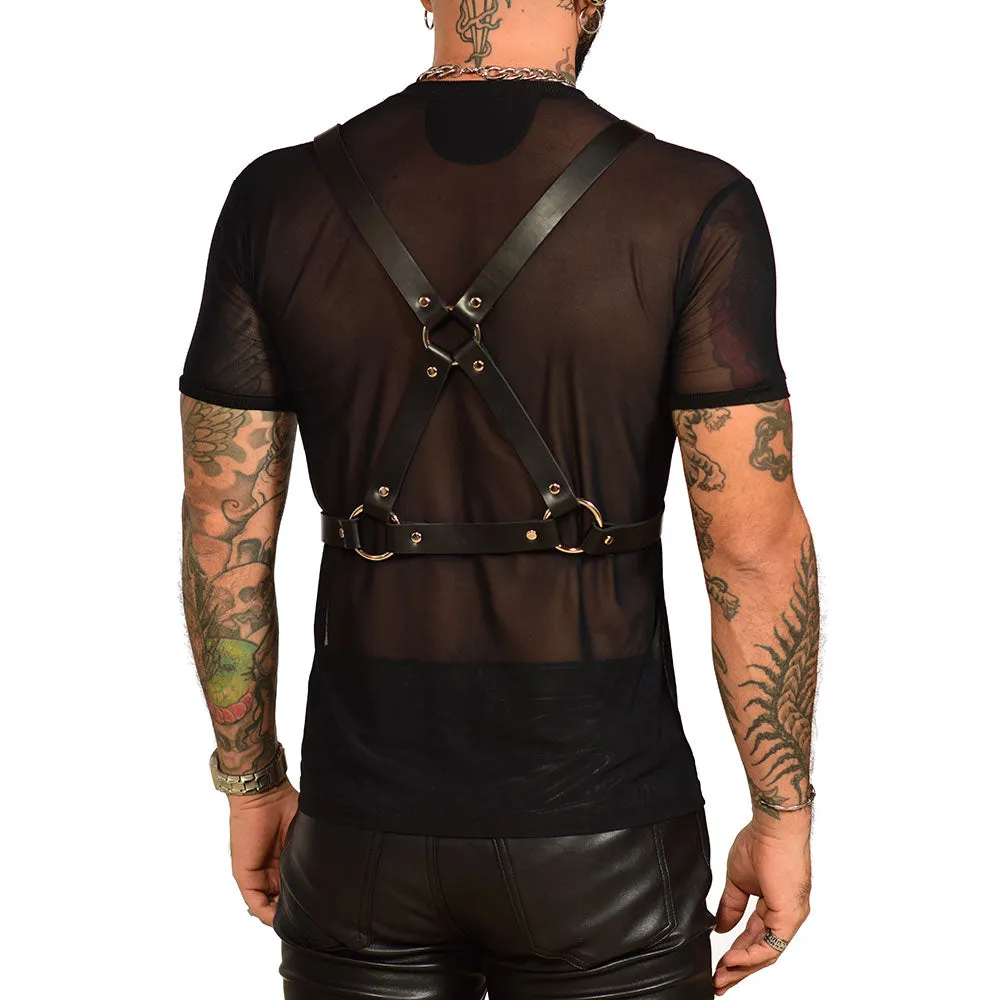 Harness bronthor superimposed