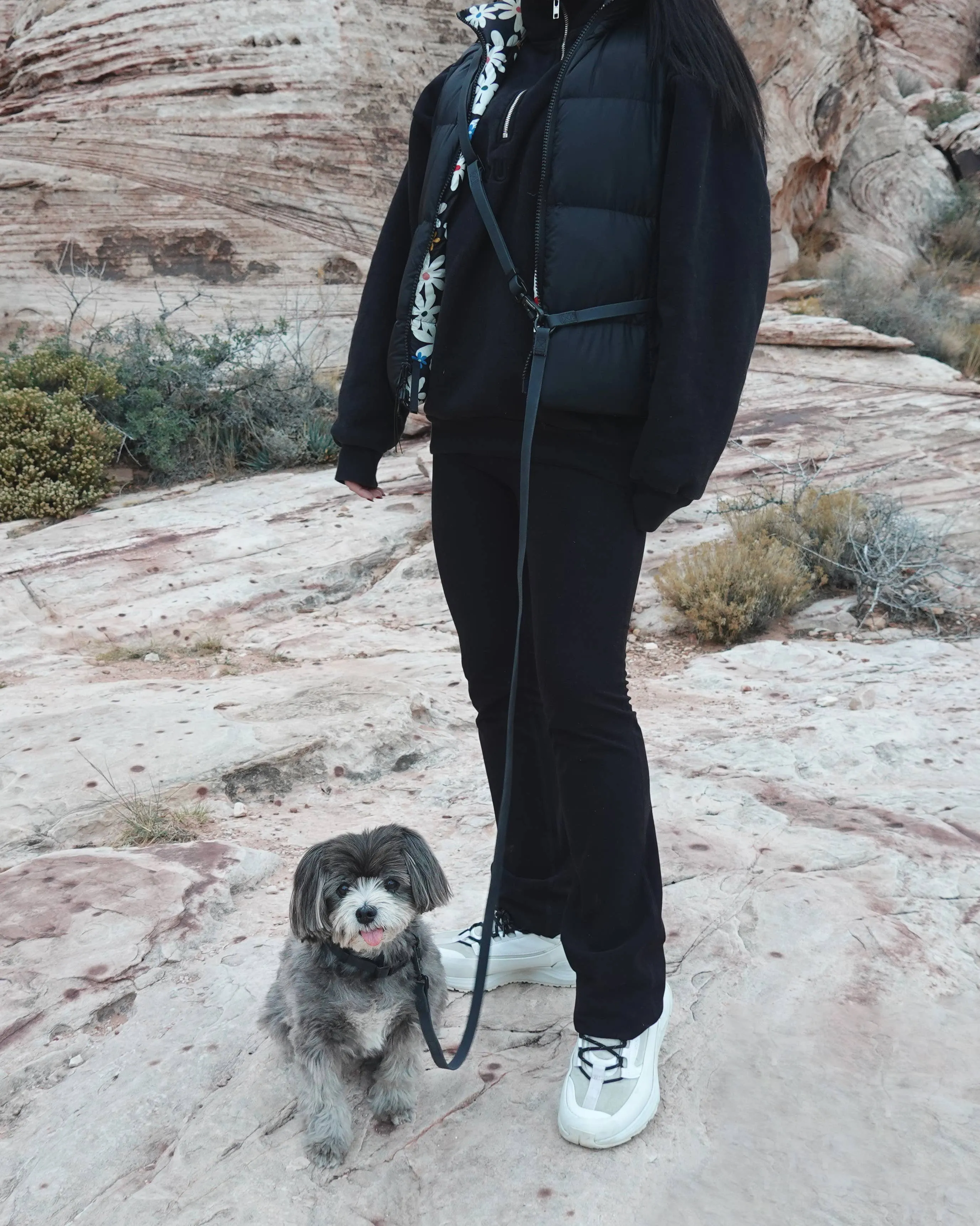 Matte Black - Soft-Touch Waterproof Hands-Free Leash