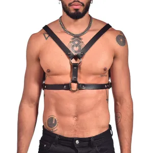 Victorian harness chest