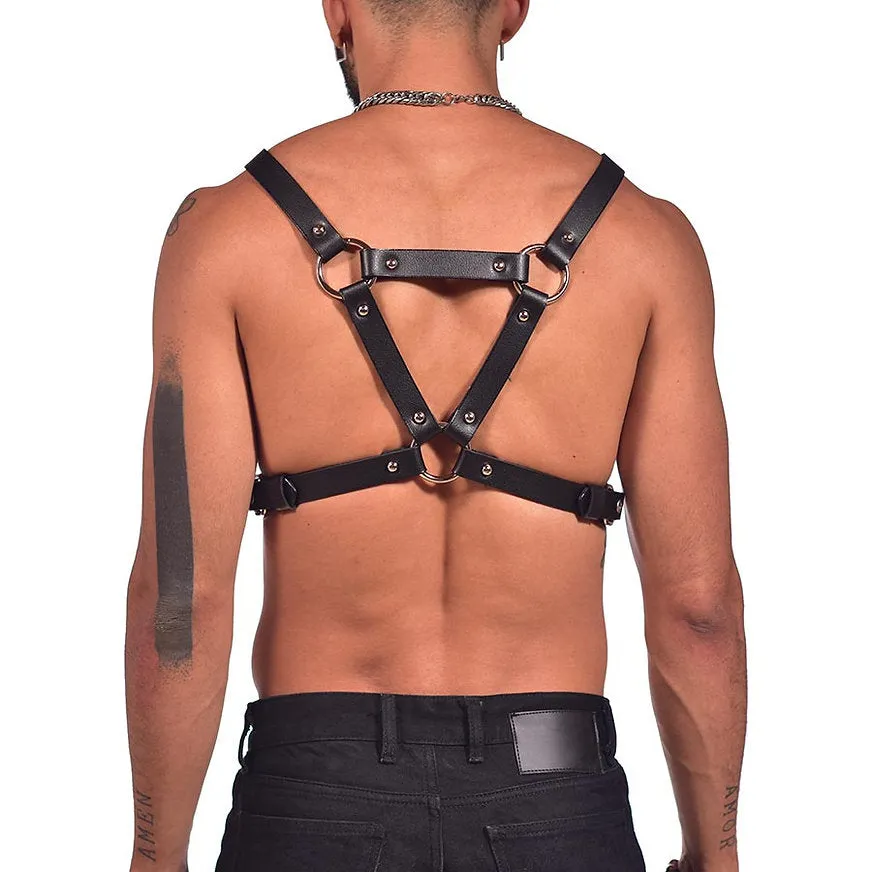 Victorian harness chest